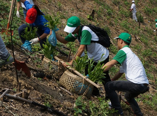 ВБ окажет помощь Вьетнаму в борьбе с климатическими изменениями